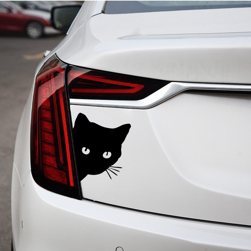 Auto-interieurstickers zwart/w - Laser Controller Board recensie en prijs